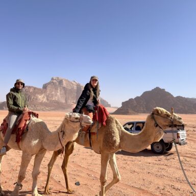 In the desert with camels